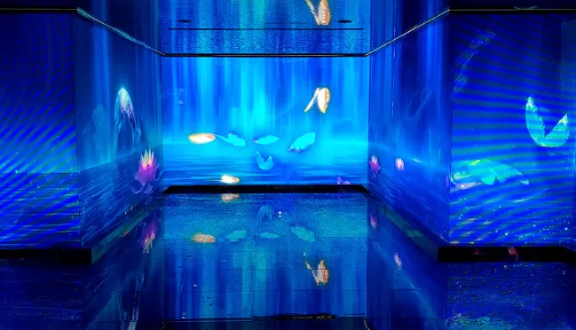 Die wichtigsten Branchen, die von der LED-Transparent-Display-Technologie profitieren 7 Bild 9.png