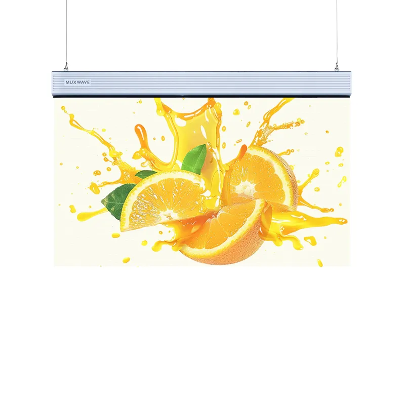 P-Serie - LED-Poster 1 led-poster-bildschirm 1